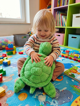 Load image into Gallery viewer, Fluffy Turtle TK-22
