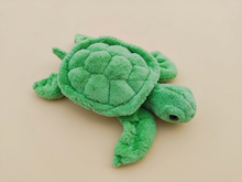 Load image into Gallery viewer, Fluffy Turtle TK-22
