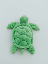 Load image into Gallery viewer, Fluffy Turtle TK-22
