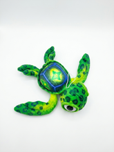 Load image into Gallery viewer, Turtle TK-18
