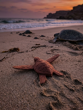 Load image into Gallery viewer, Hatchling Handmade HW-4
