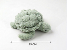 Load image into Gallery viewer, Fluffy Turtle TK-12S
