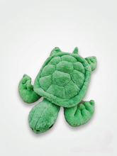 Load image into Gallery viewer, Fluffy Turtle TK-22
