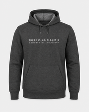 Load image into Gallery viewer, Hoodie (SM-16)
